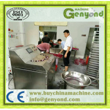 Mango Slicing Machine for Sale in China